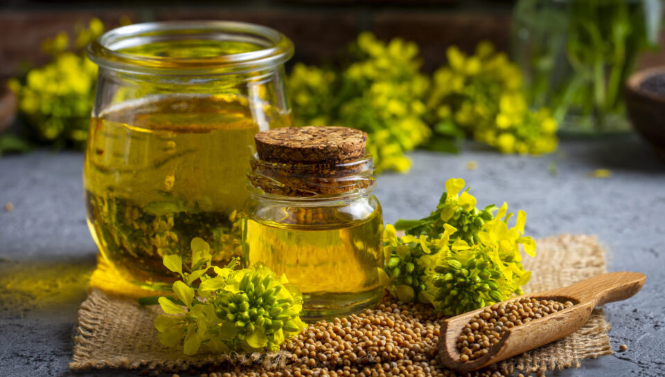 Mustard oil in a glass jar and decanter, mustard grains on a burlap napkin, flowers and leaves on wooden board background